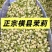直销茉莉花干横县源头工厂诊所药店中药材批发