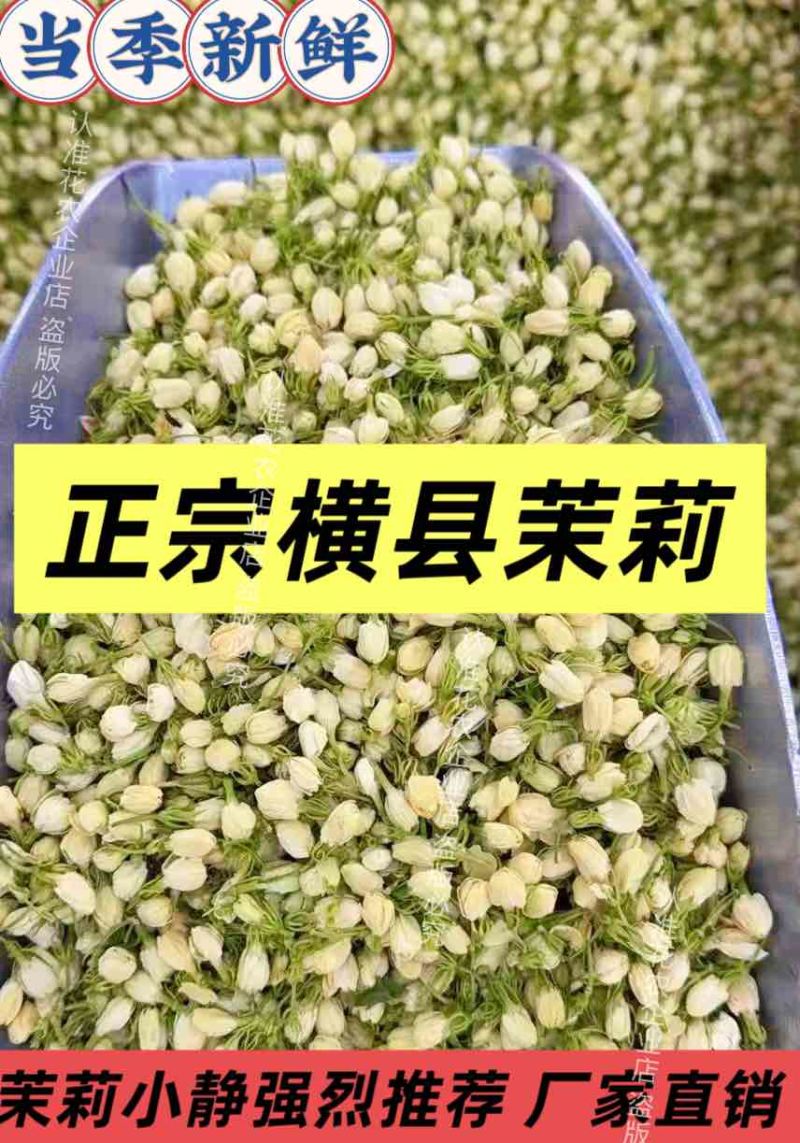 直销茉莉花干横县源头工厂诊所药店中药材批发
