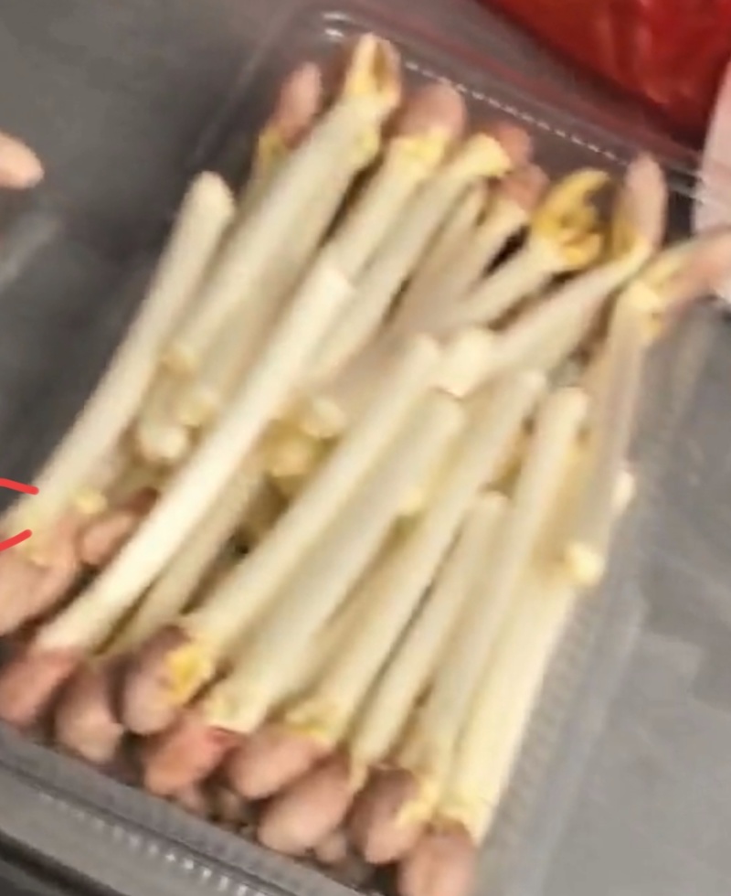 芽菜