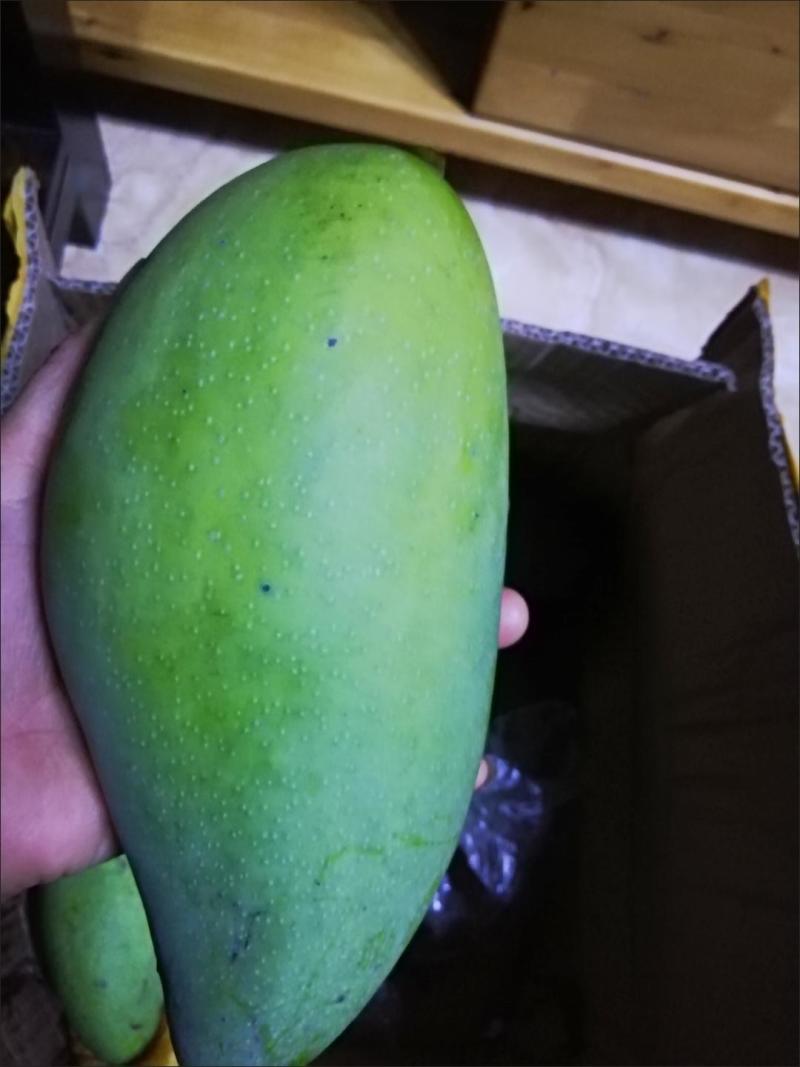 电商一件代发