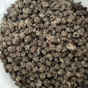 安徽水洗两遍猫爪草，干货