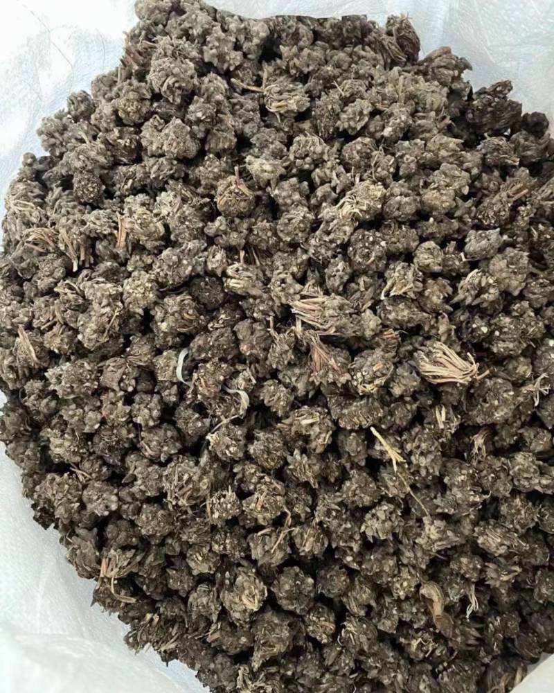 安徽水洗两遍猫爪草，干货