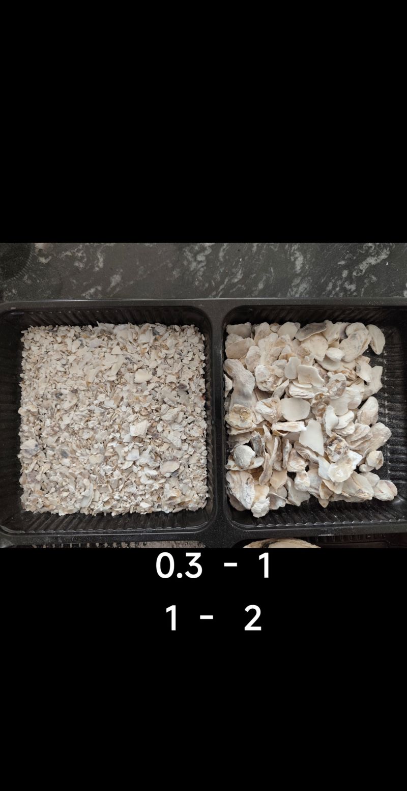 蛋鸡蛋鸭鹌鹑鸽子补钙贝壳粉