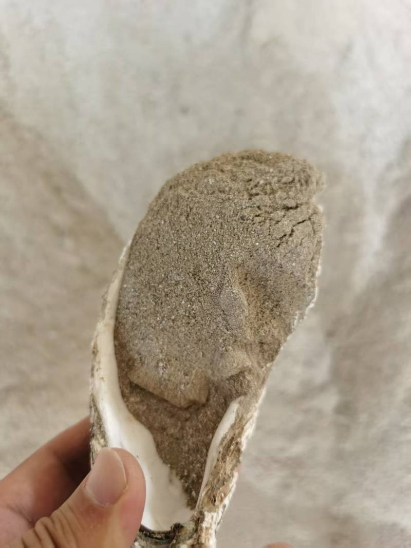 种植肥贝壳粉