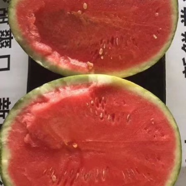 甘美4k西瓜