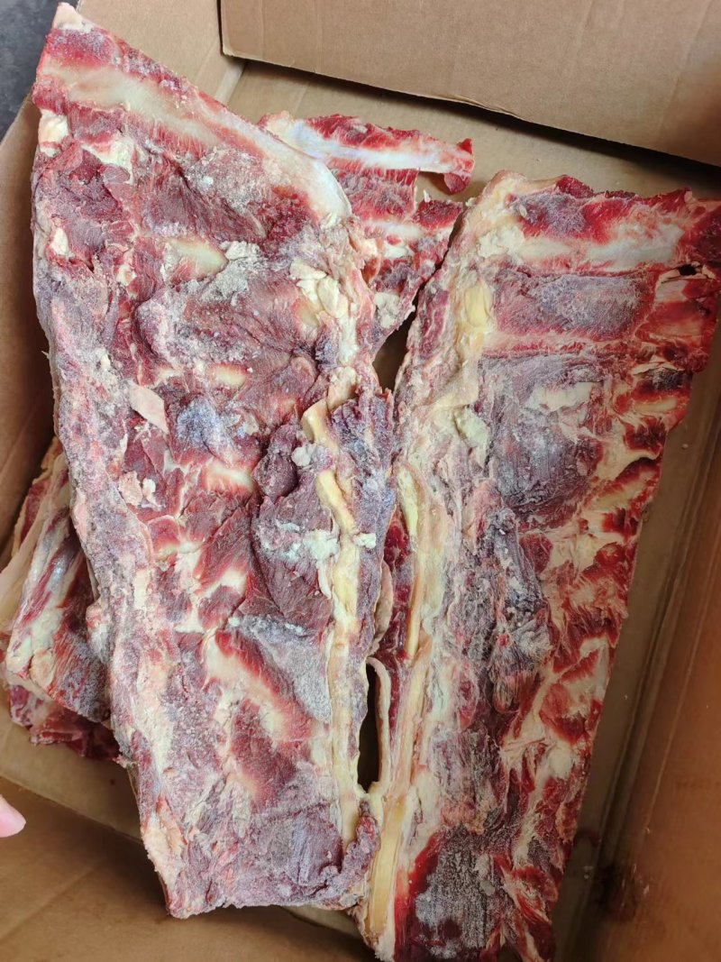 牛羽骨，