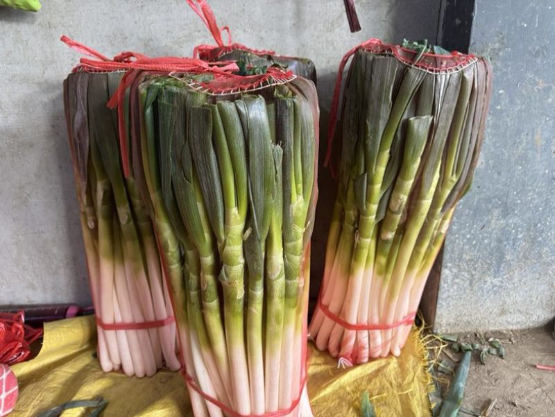 精品大葱（去根切叶）支持视频看货