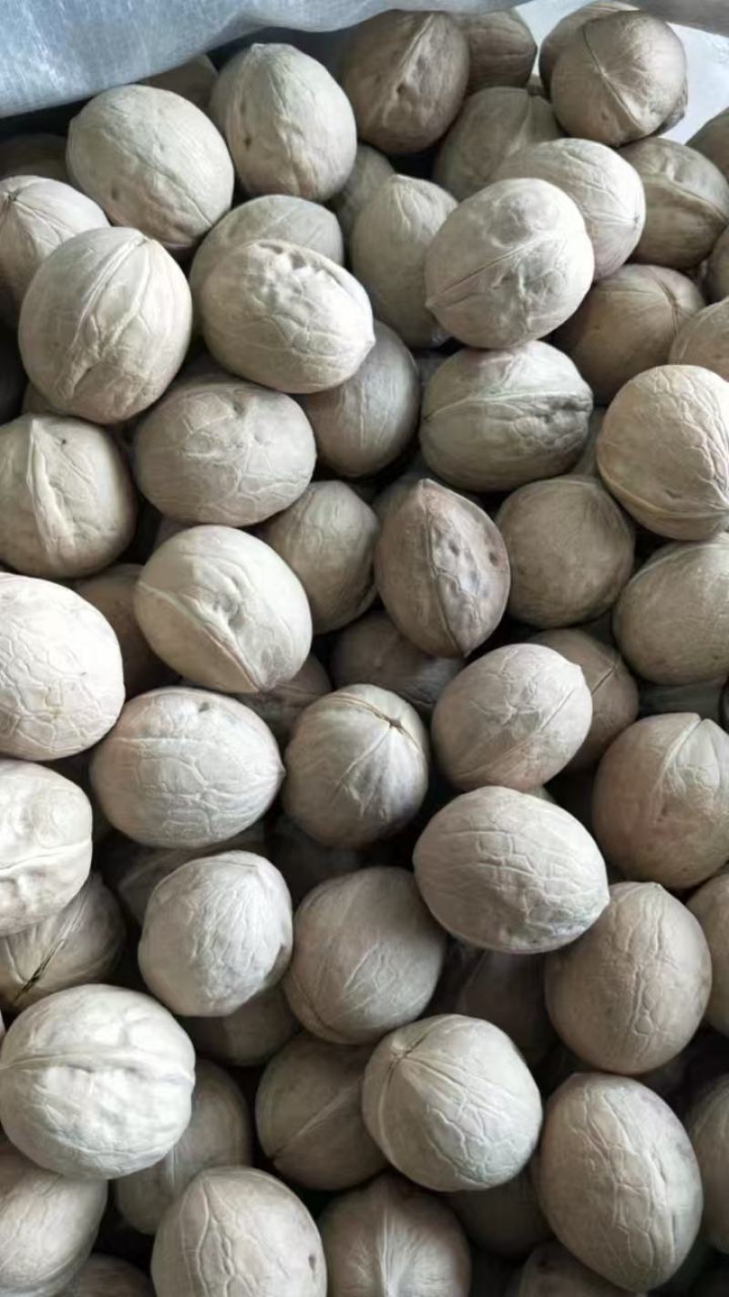 185纸皮核桃