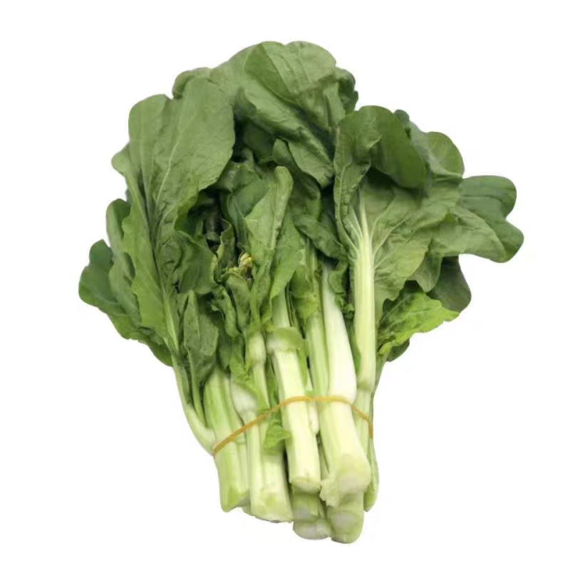 白菜苔
