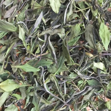 茶叶