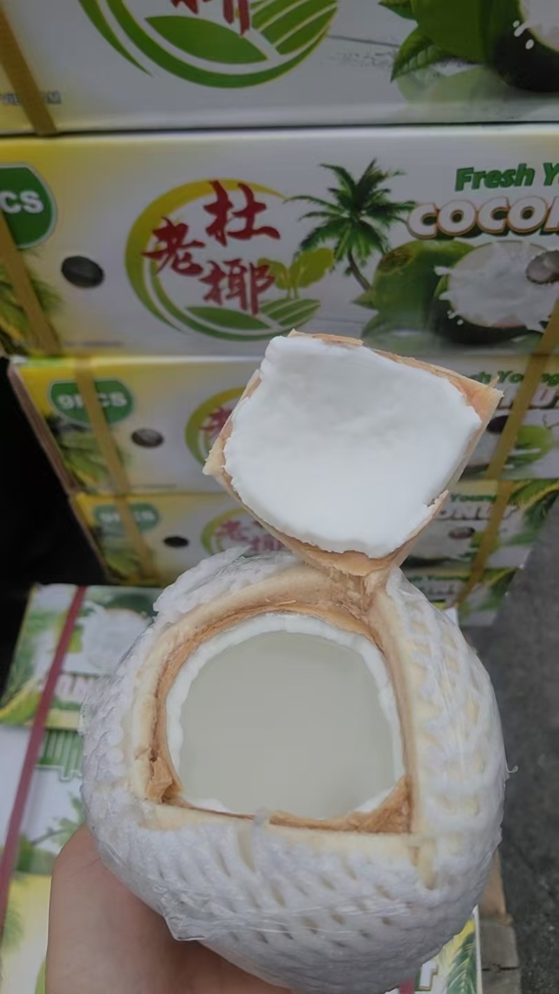 椰子、香水椰