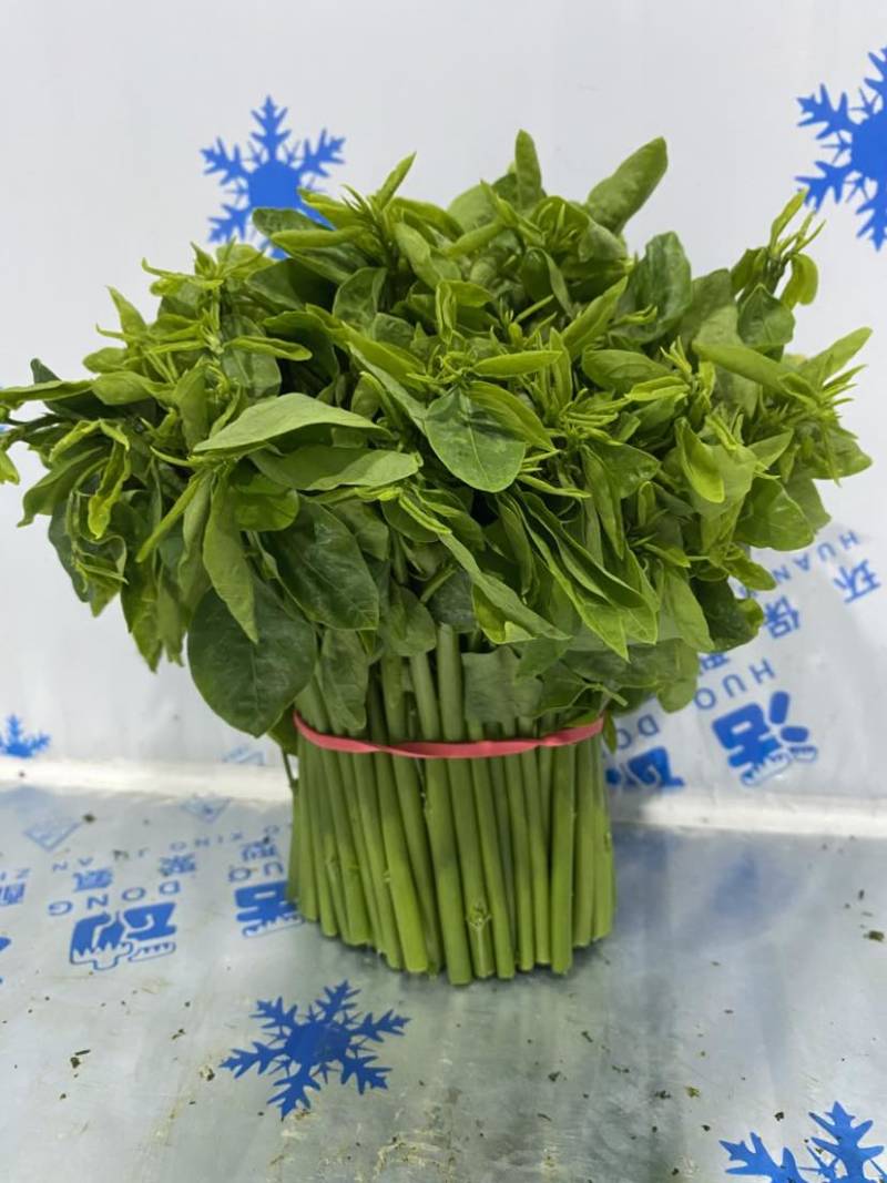 树仔菜现摘当天发货