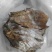 笋干笋衣食用菌干货