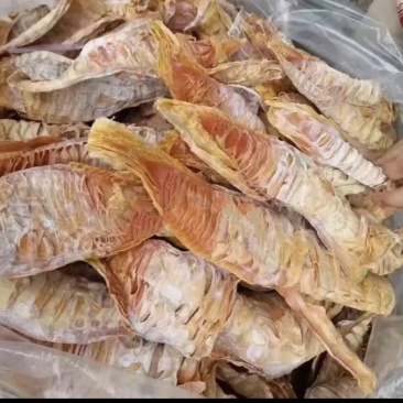 笋干笋衣食用菌干货