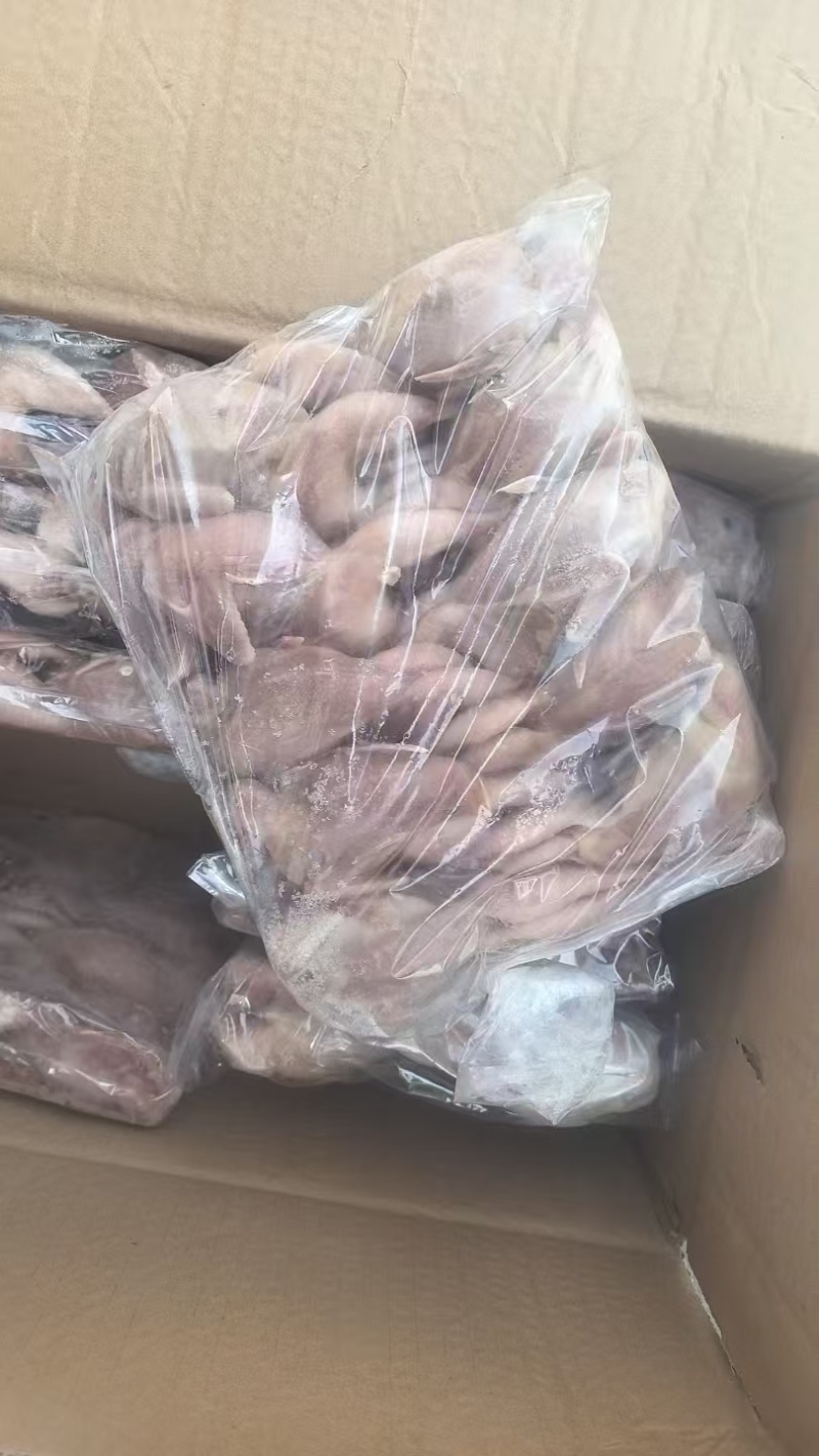 厂家2两放血鹌鹑30000只