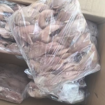 厂家2两放血鹌鹑30000只