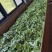 云南勐海各大山头普洱茶