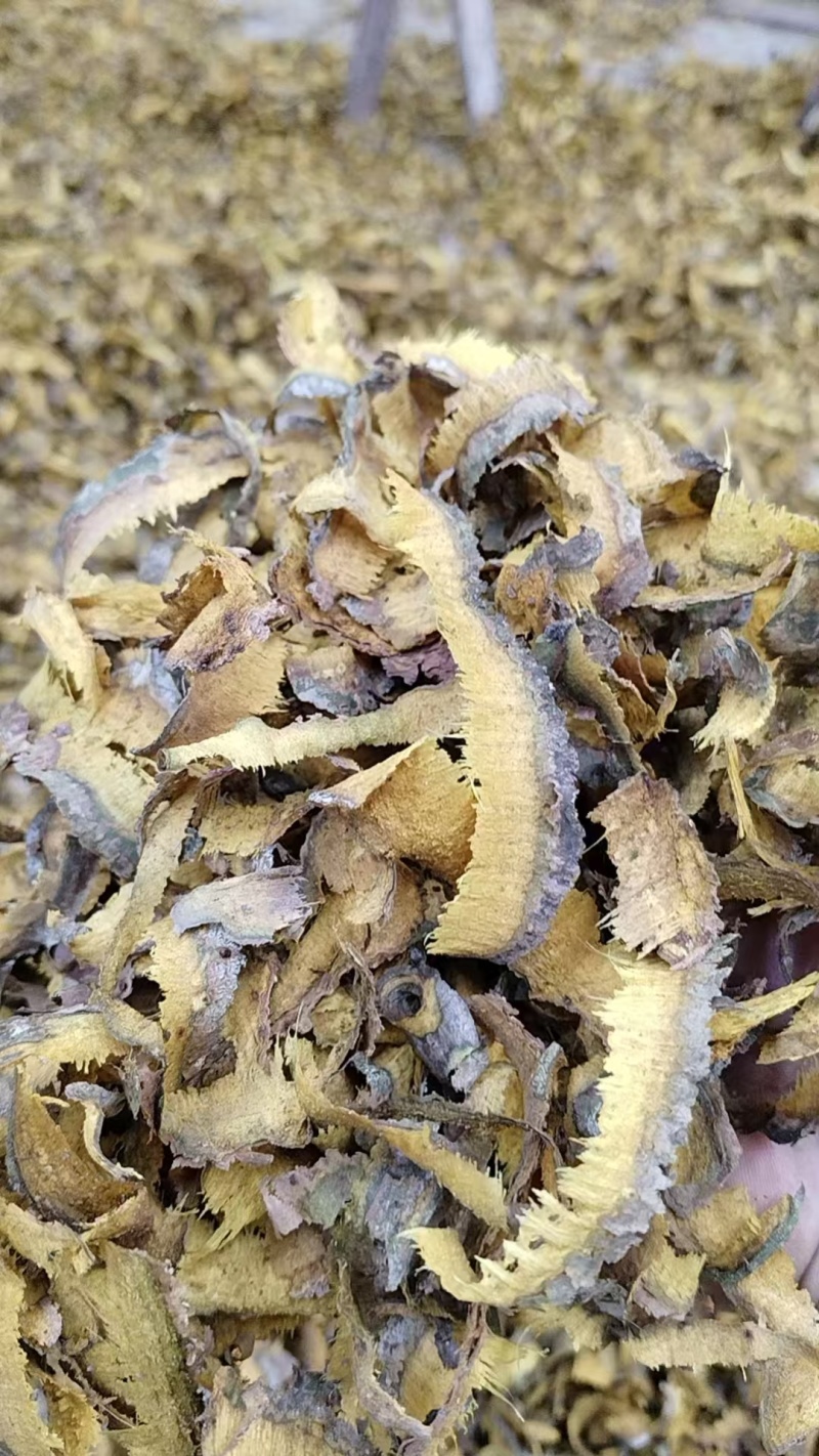 黄柏双面黄，单面黄，下脚料，爆花大量出售，欢迎各大收购商
