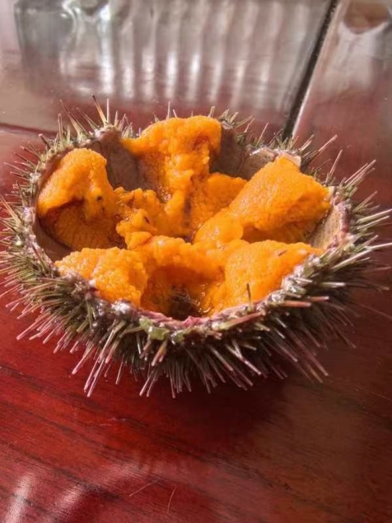 马粪海胆，价格优势