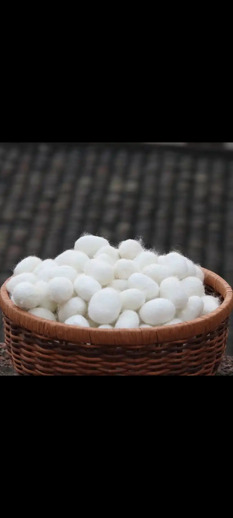 蚕茧