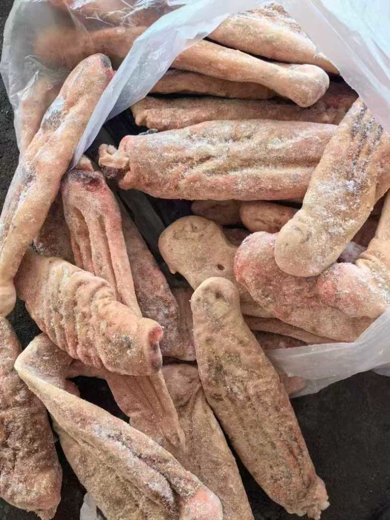 鲨鱼肚海鱼肚海鱼胃海八珍之一