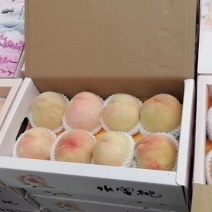 阳山水蜜桃大量供应质量保证