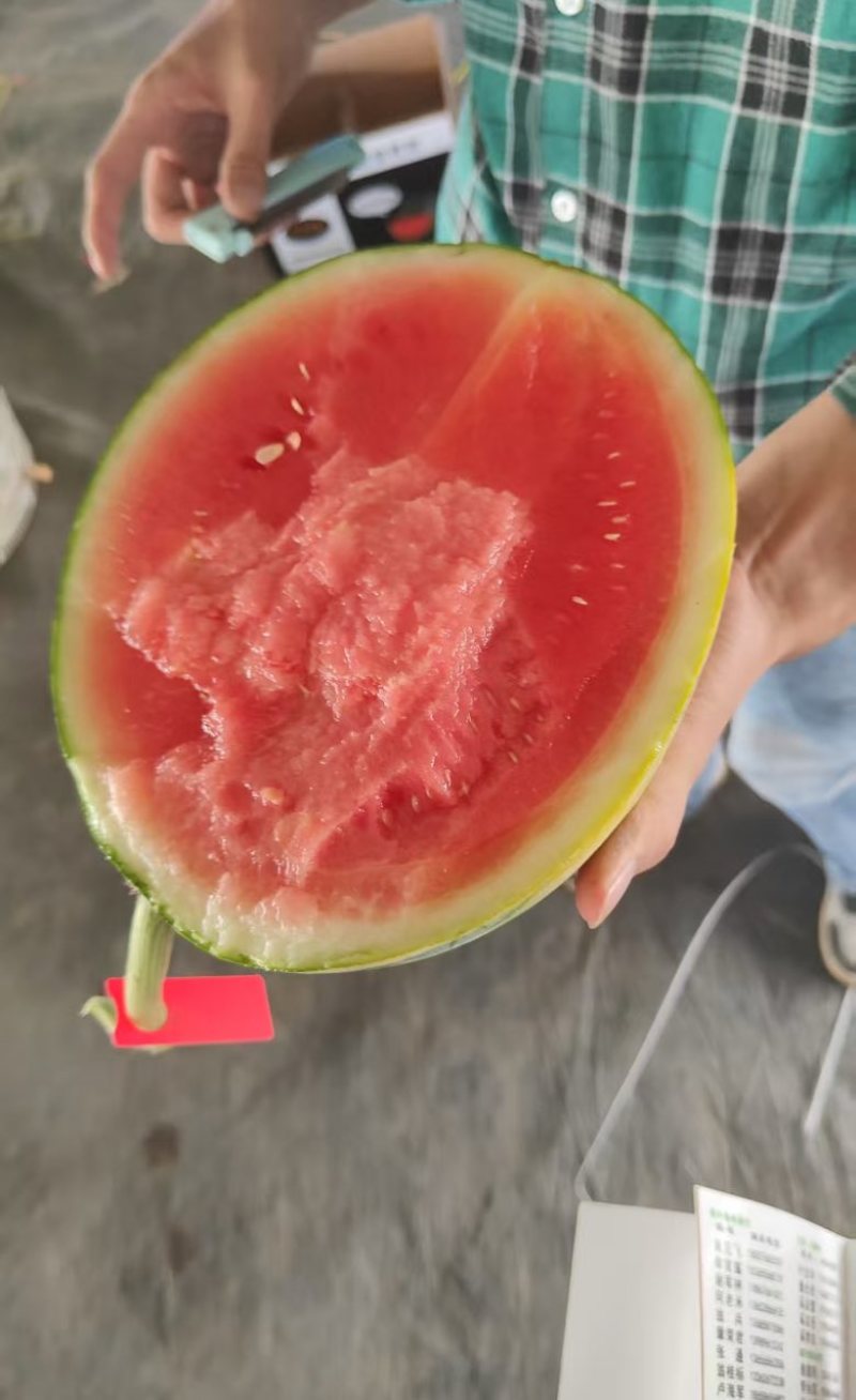 无籽甘美4K西瓜新鲜现摘