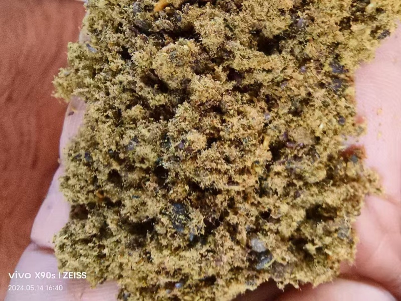 全脂膨化棉籽：蛋白➕脂肪38高能量，利于生长发育。高蛋