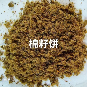 全脂膨化棉籽：蛋白➕脂肪38高能量，利于生长发育。高蛋