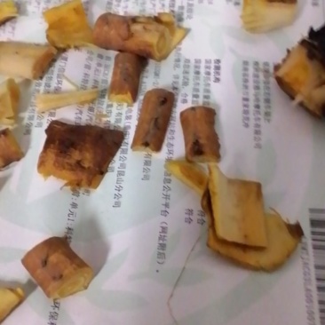 土大黄