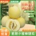 【顺丰包邮】山东头茬小蜜蜂甜瓜早甜脆小蜜罐新鲜直供香甜美味果