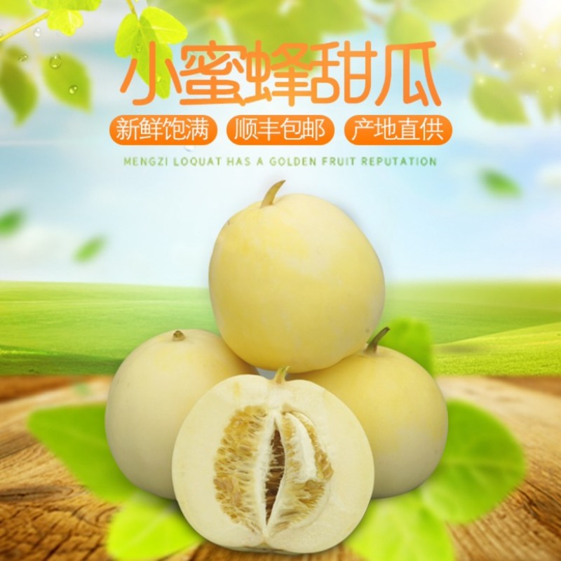 【顺丰包邮】山东头茬小蜜蜂甜瓜早甜脆小蜜罐新鲜直供香甜美味果