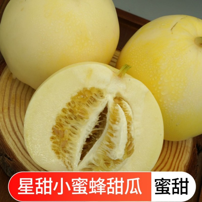 【顺丰包邮】山东头茬小蜜蜂甜瓜早甜脆小蜜罐新鲜直供香甜美味果