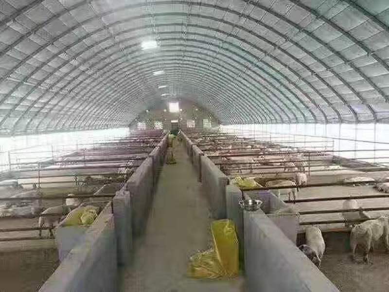 不锈钢温室大棚