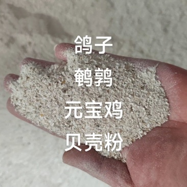 贝壳粉钙吸收率比石粉高30%