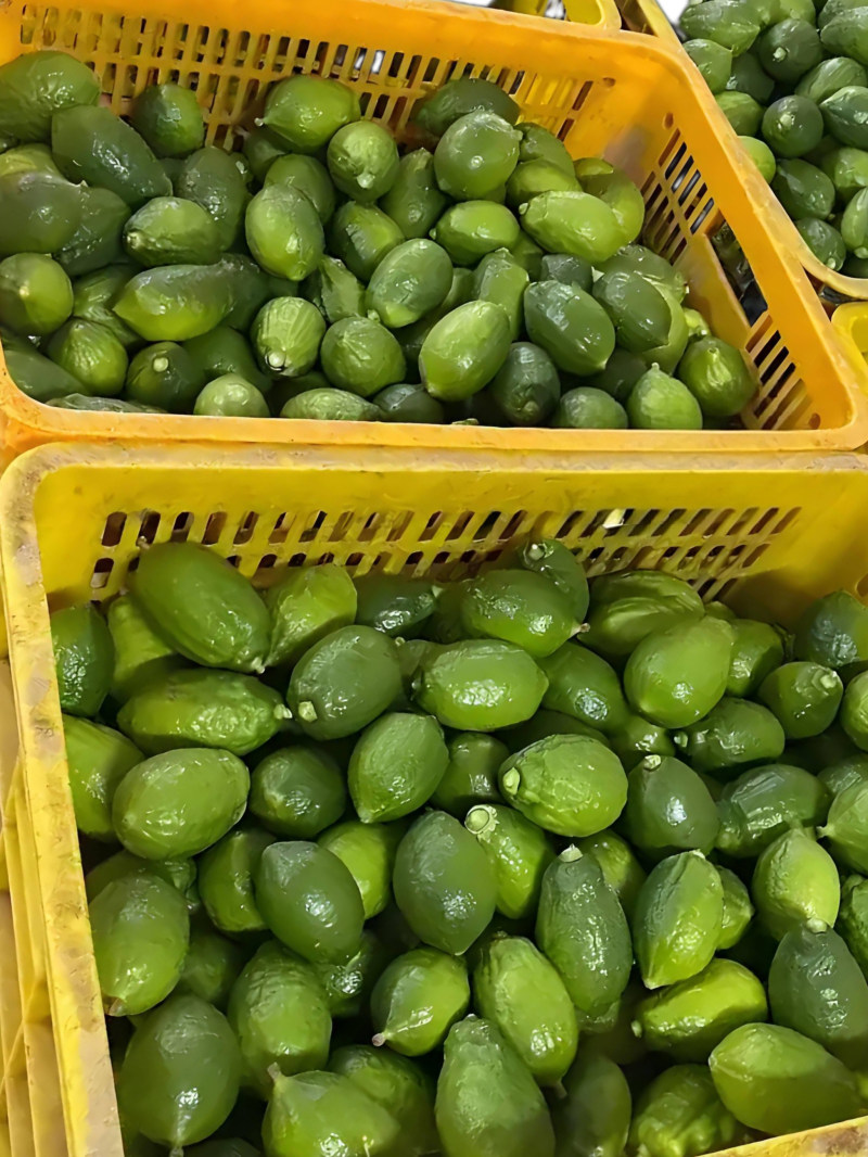 广东香水柠檬