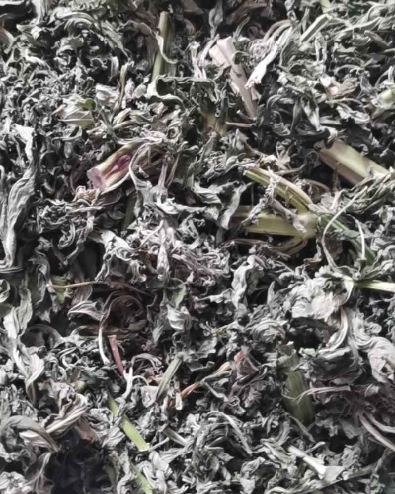 益母草