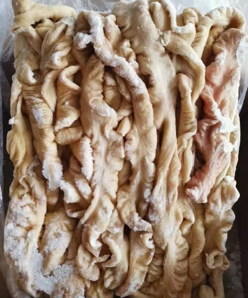 猪大肠无油清理干净规格型号齐全工厂发货物流