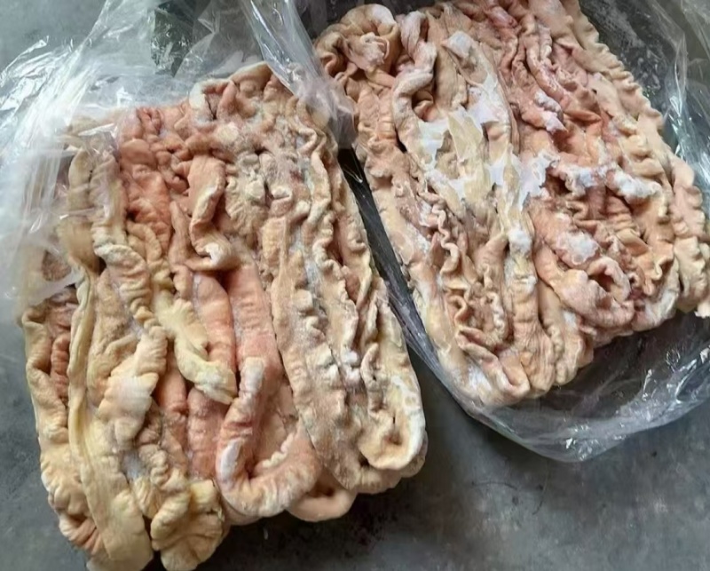 猪大肠无油清理干净规格型号齐全工厂发货物流