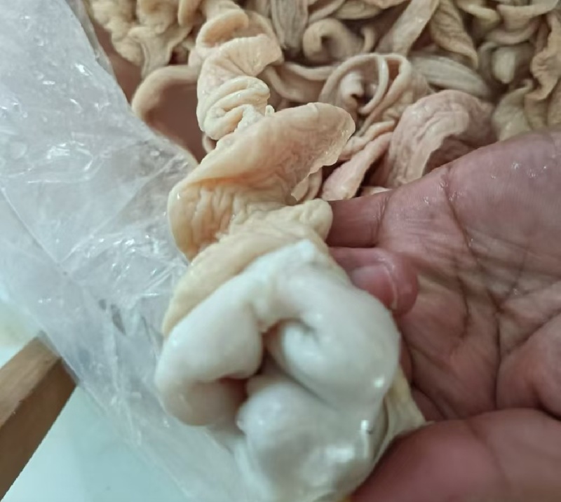 猪大肠无油清理干净规格型号齐全工厂发货物流