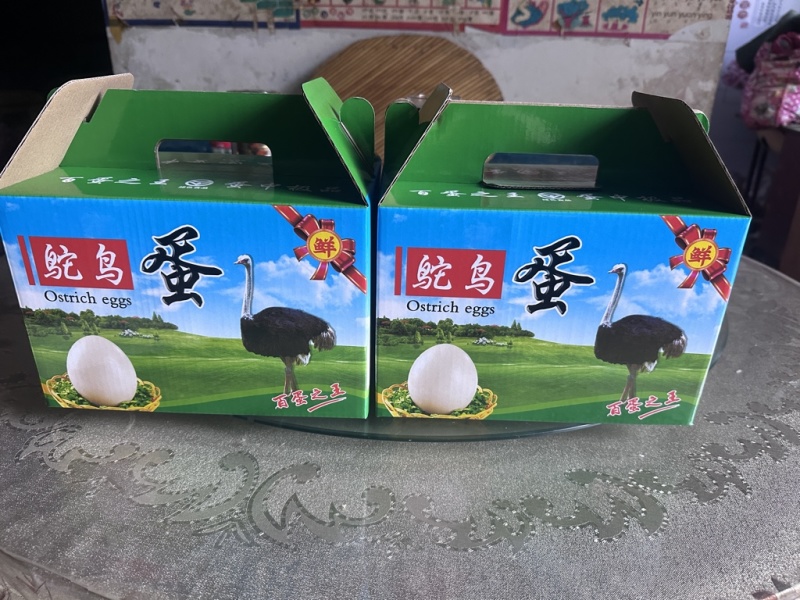 鸵鸟食用蛋