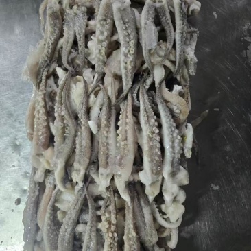 鱿鱼制品