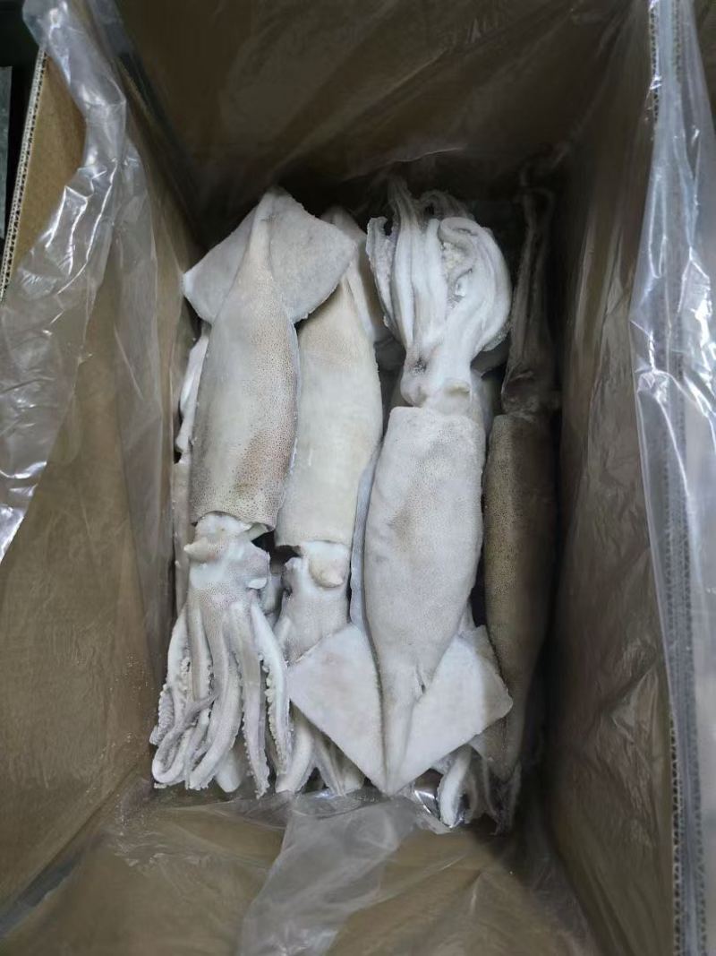 鱿鱼制品