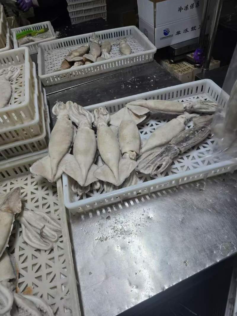 鱿鱼制品
