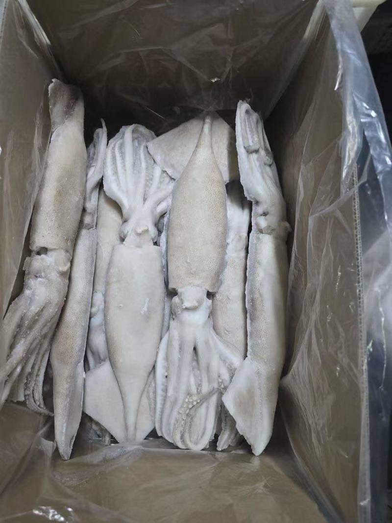 鱿鱼制品