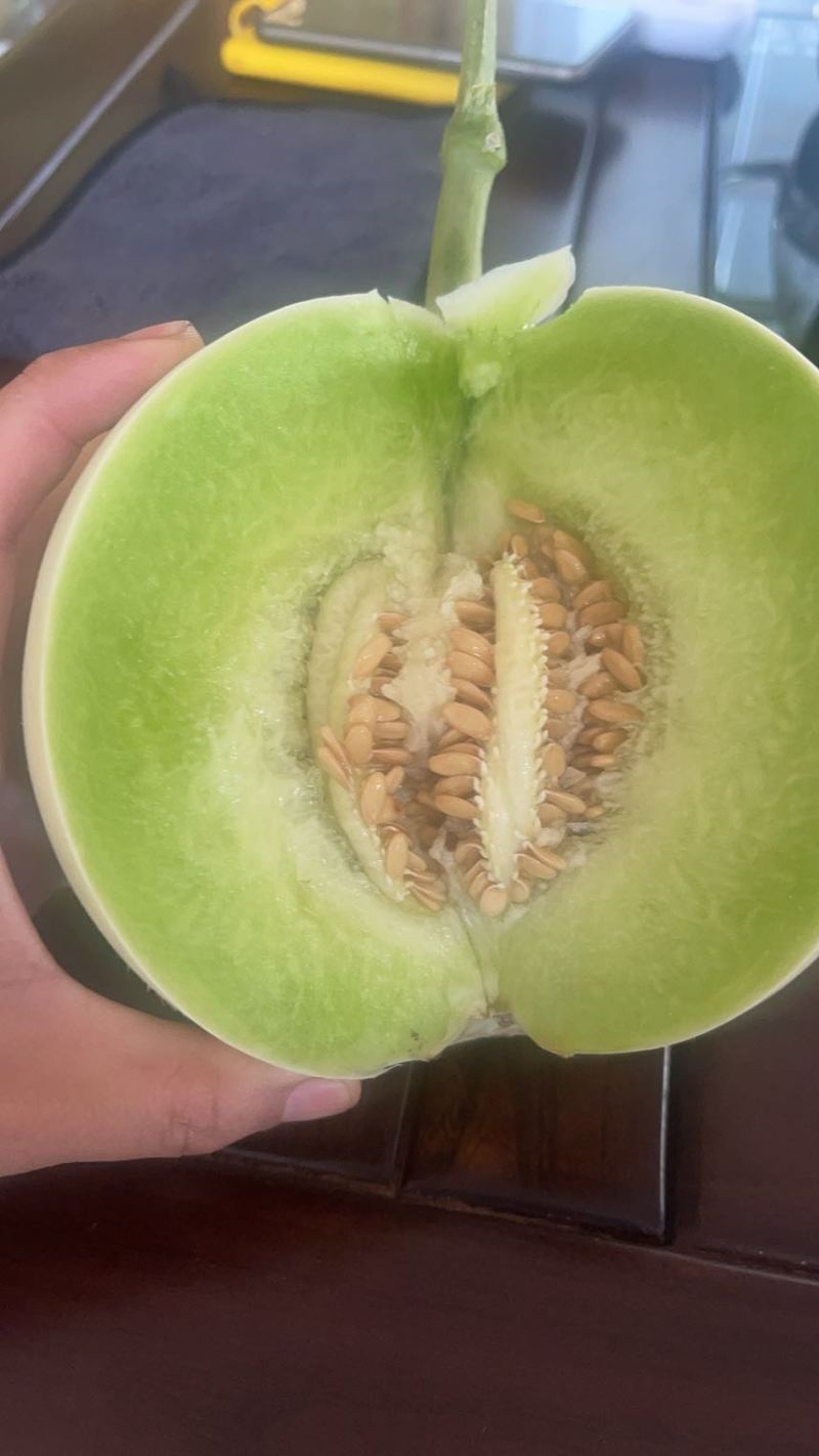 玉菇一件代发，对接各电商平台