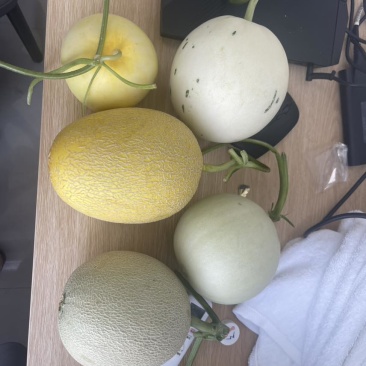 玉菇一件代发，对接各电商平台