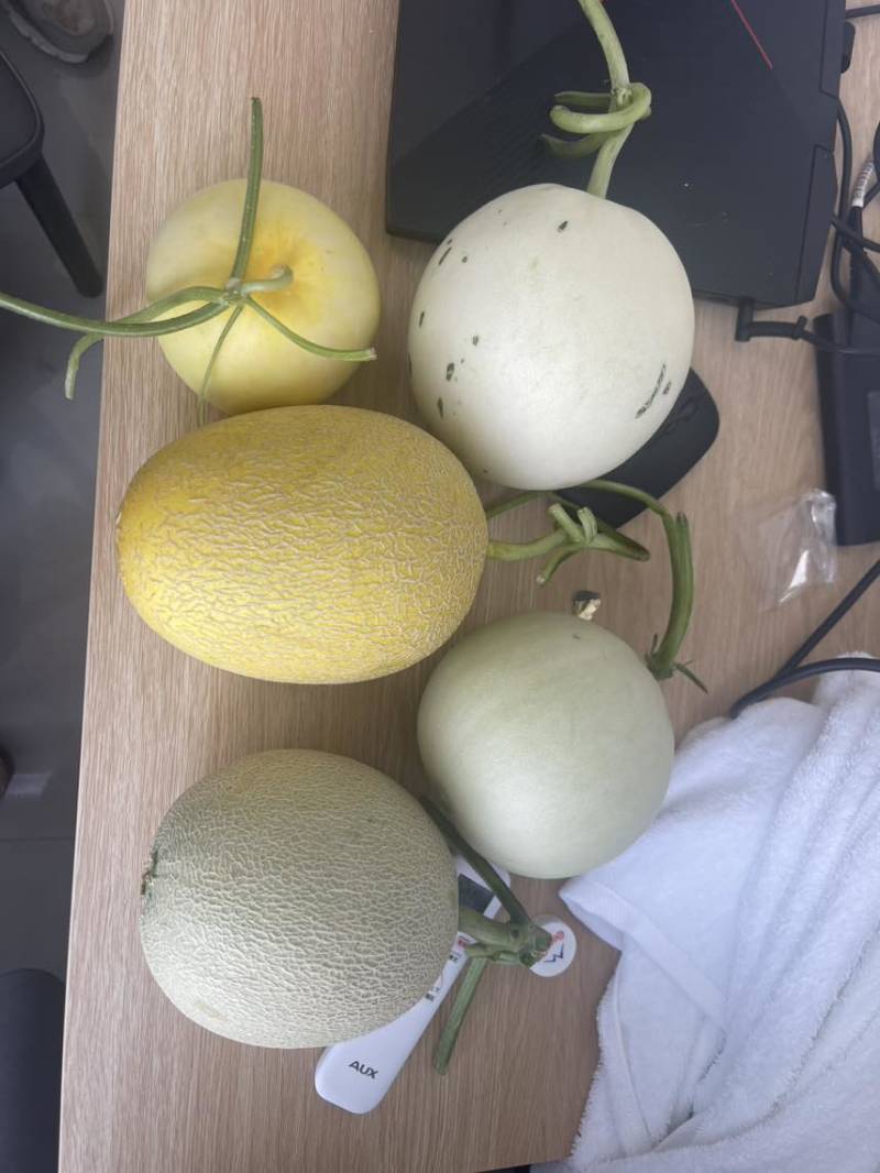 玉菇一件代发，对接各电商平台