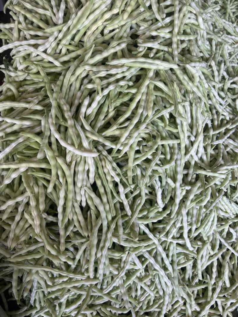 白不老，老来少，