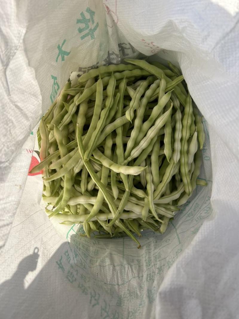 白不老，老来少，